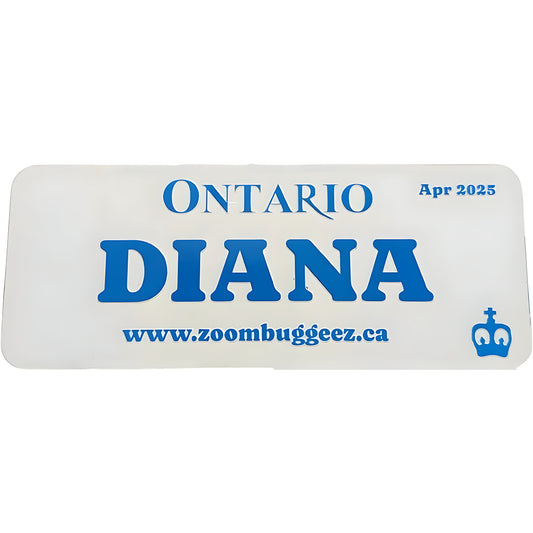 Personalized Custom License Plate for Kids Ride on Car