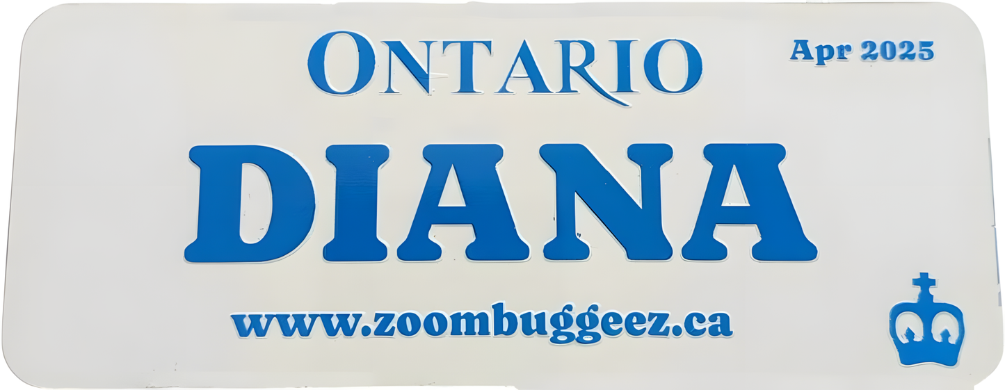 Personalized Custom License Plate for Kids Ride on Car